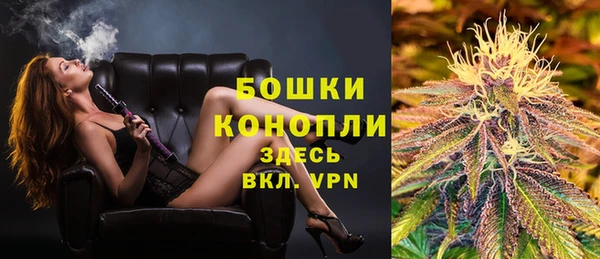 прущие крисы Белокуриха