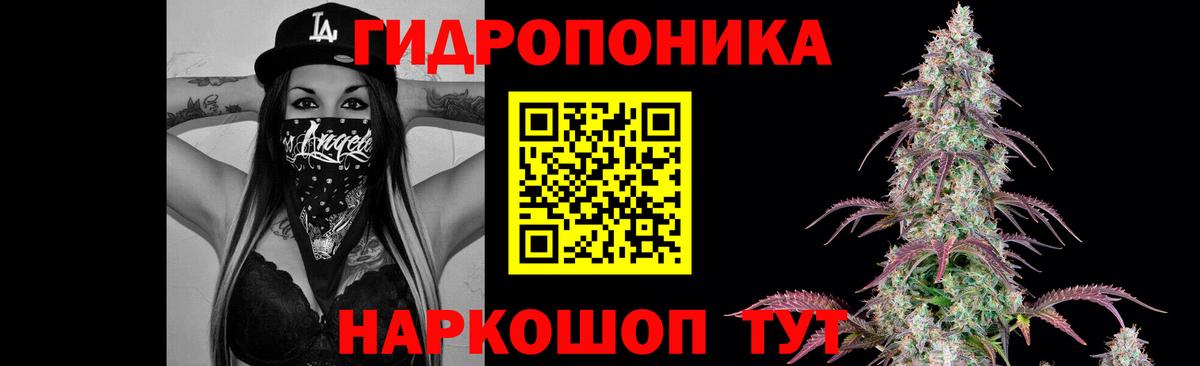 Конопля сатива Буйнакск